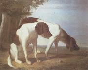 Jacques-Laurent Agasse Foxhounds in a Landscape oil on canvas